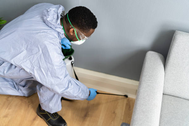 Best Termite Inspection and Treatment  in Brigantine, NJ